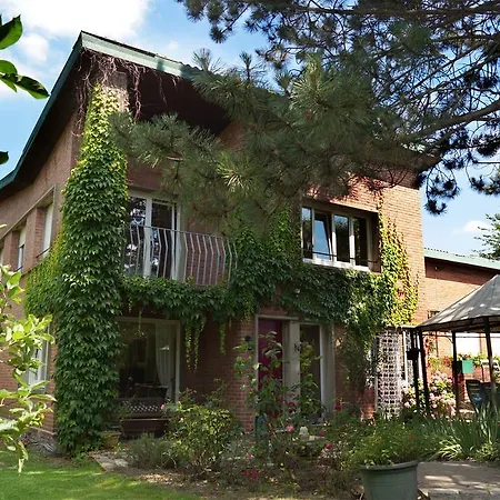 La Maison D'adam Lille