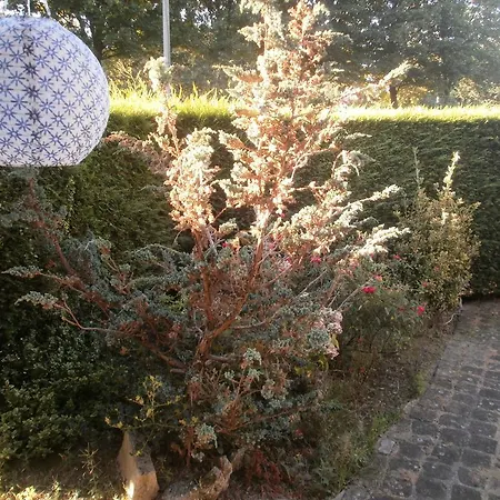 La Maison D'adam Frühstückspension