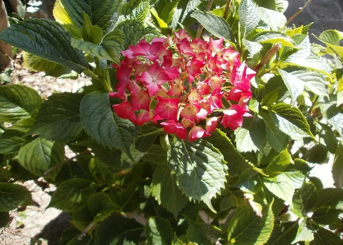 Bed & Breakfast La Maison D'adam