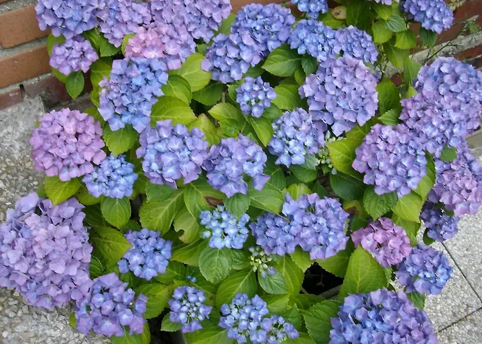 Frühstückspension La Maison D'adam *