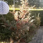 La Maison D'adam Bed & Breakfast
