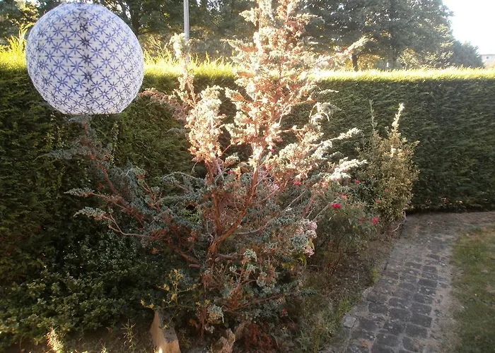 La Maison D'adam Couette-café